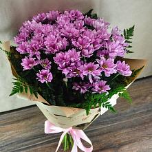 Букет цветов из:  Хризантемы #REPLACE_PRED# Федотово