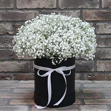 Цветочная композиция из Гипсофила в шляпной коробке #REPLACE_PRED# Федотово